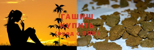 ГАЛЛЮЦИНОГЕННЫЕ ГРИБЫ Алзамай