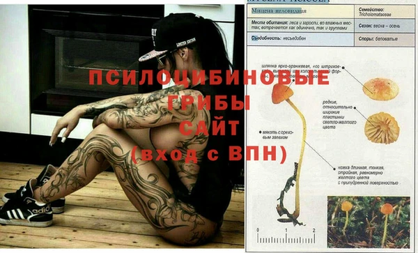 ГАЛЛЮЦИНОГЕННЫЕ ГРИБЫ Алзамай