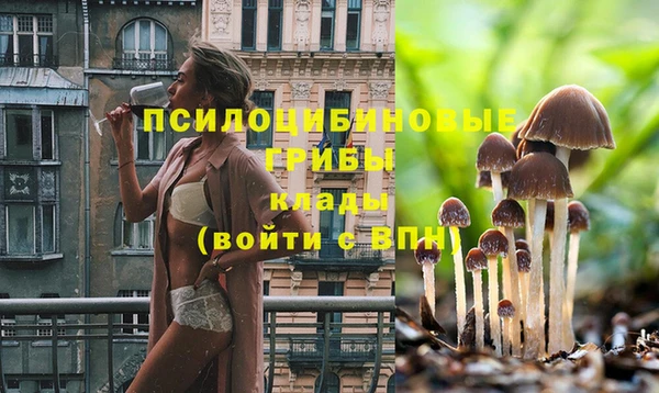 ГАЛЛЮЦИНОГЕННЫЕ ГРИБЫ Алзамай